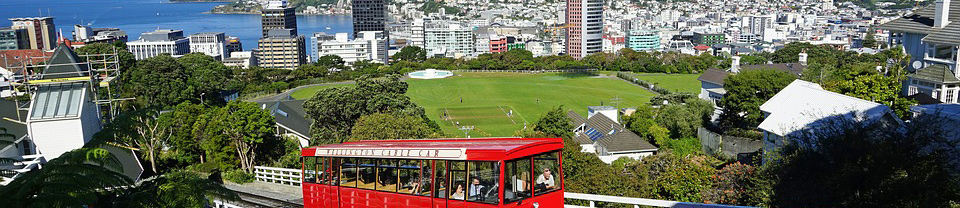 ウェリントンの風景