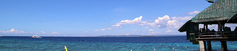 セブ島の風景