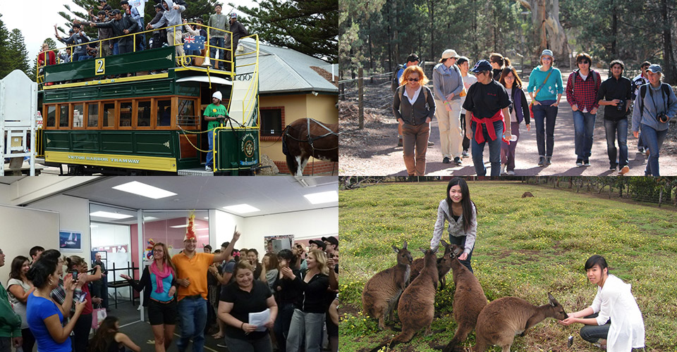 South Australian College of Englishの学生