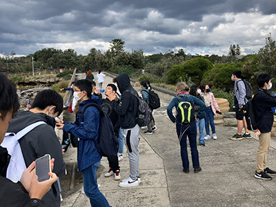 学校のアクティビティで行った島の崖から撮った写真 その2。