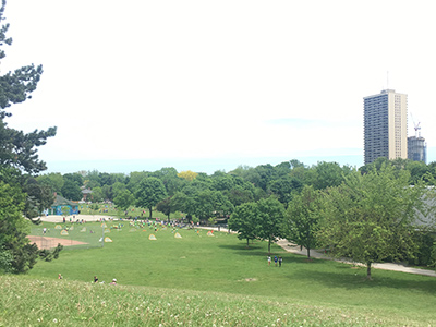 学校近くの公園