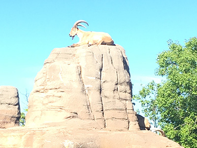 トロント動物園